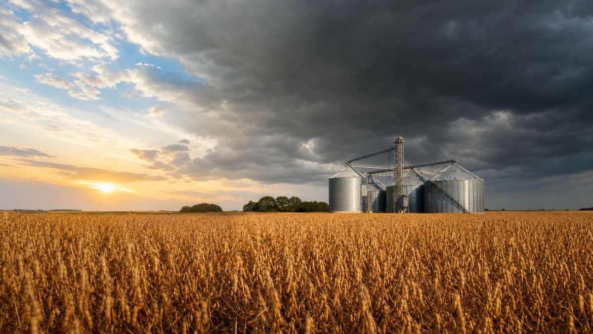 Plano Safra 2026/27 deve superar R$ 516 bilhões em crédito para agricultura empresarial