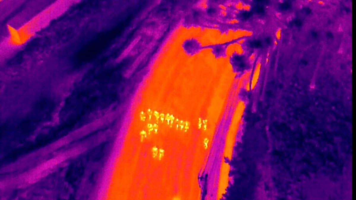 Brigada Militar amplia monitoramento com drones durante romaria ao Santuário de Caravaggio