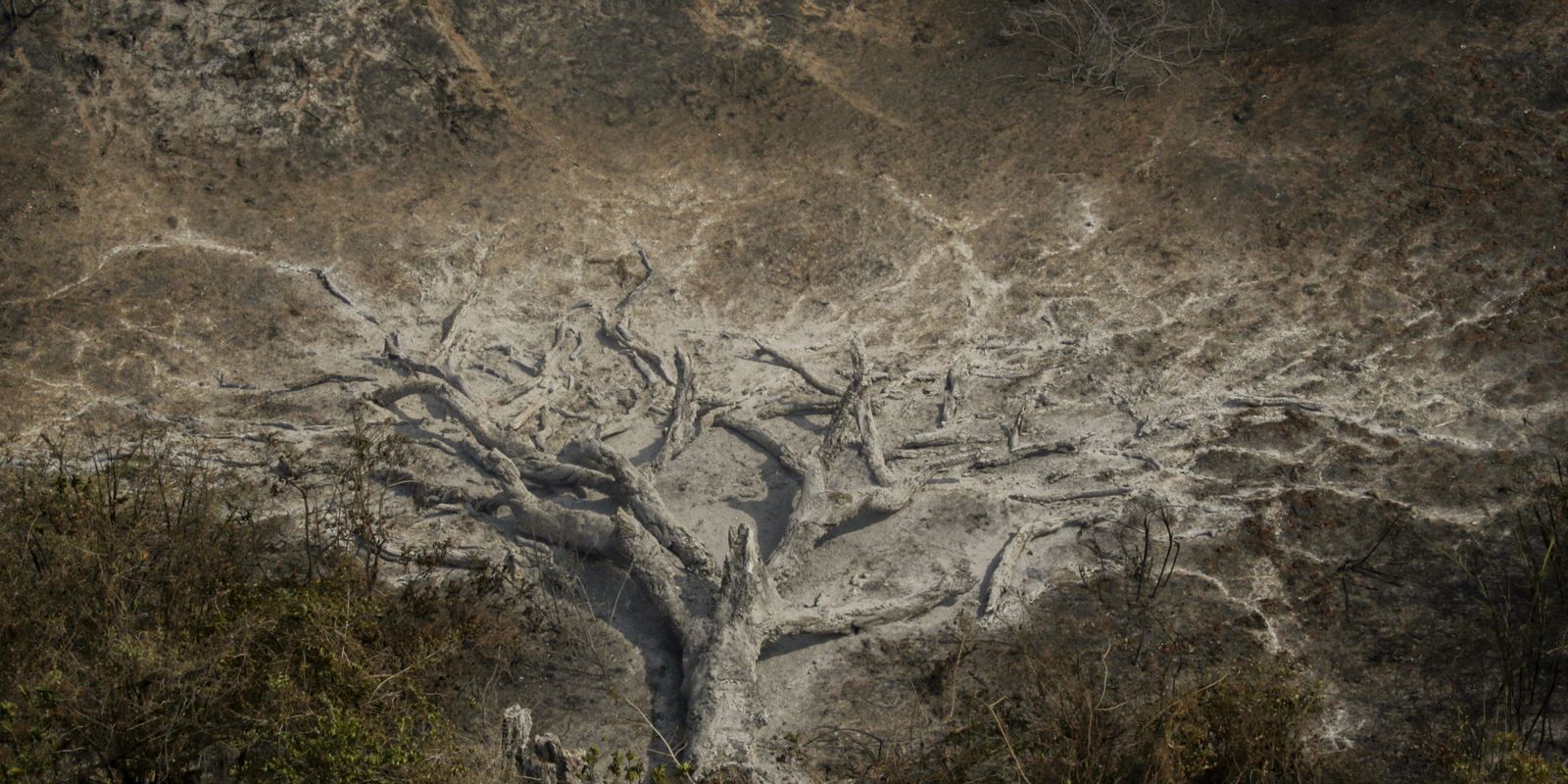 Brasileiros sentem impacto intenso das mudanças climáticas no cotidiano