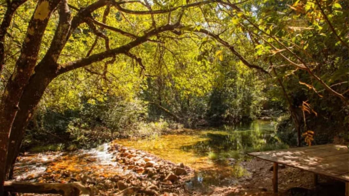 Cachoeira do Segredo terá área exclusiva para nudismo a partir de junho