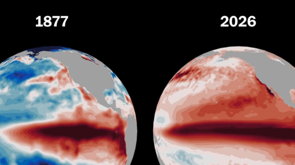Novo episódio do El Niño pode ser forte e aumentar riscos de eventos climáticos extremos no Brasil