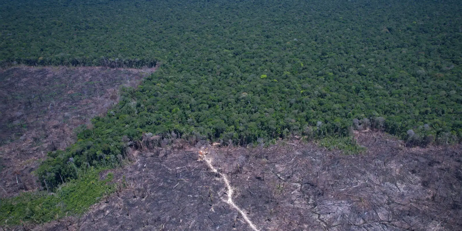 COP apresenta proposta para acelerar combate às mudanças climáticas