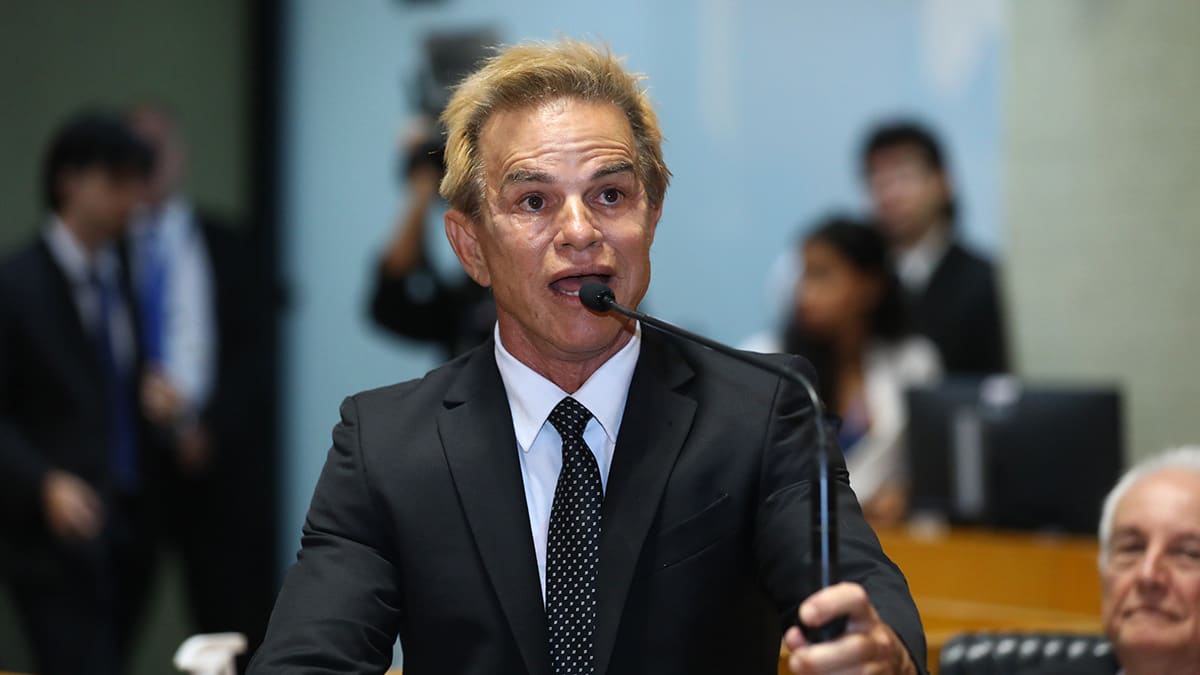 Projeto de Lei na Assembleia Legislativa proíbe uso de coleiras eletrônicas e ultrassônicas em animais no Espírito Santo