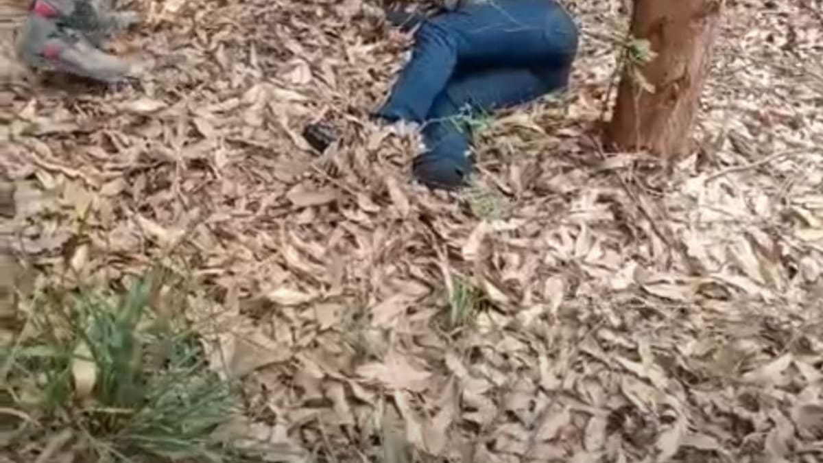 Corpo é encontrado na Serra e caso é encaminhado para DHPP