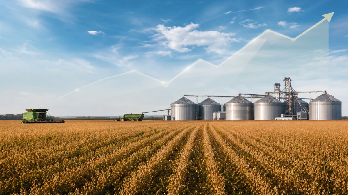 Mapa revisa para R$ 1,413 trilhão projeção do VBP agropecuário em 2026 com queda de 4,2%