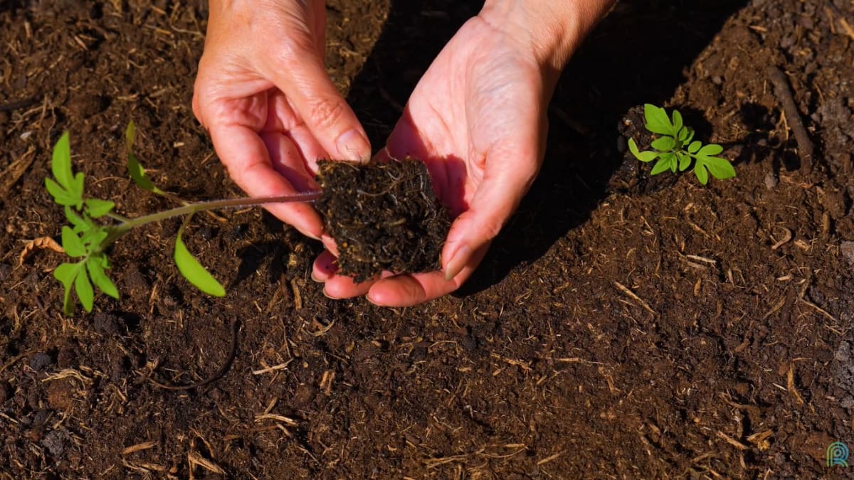 Tecnologia fotônica avança na análise de solos para o agronegócio brasileiro