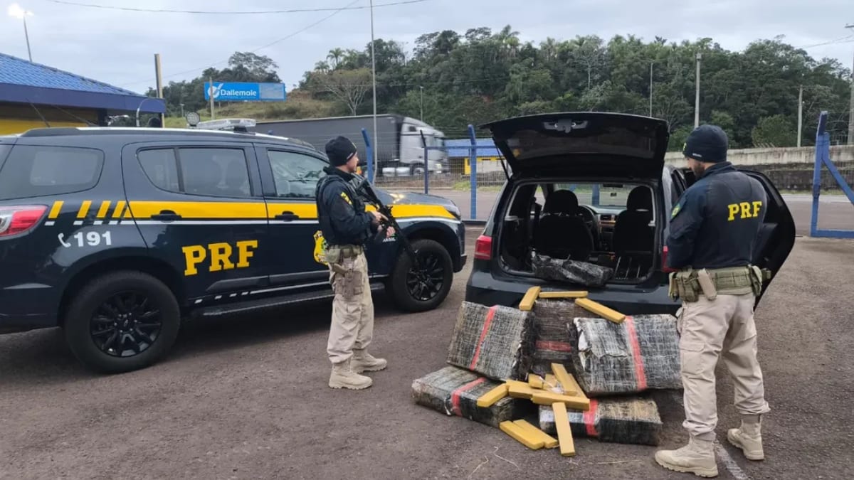 Motorista é preso com carga de maconha em fiscalização na rodovia entre Litoral e Capital de Santa Catarina