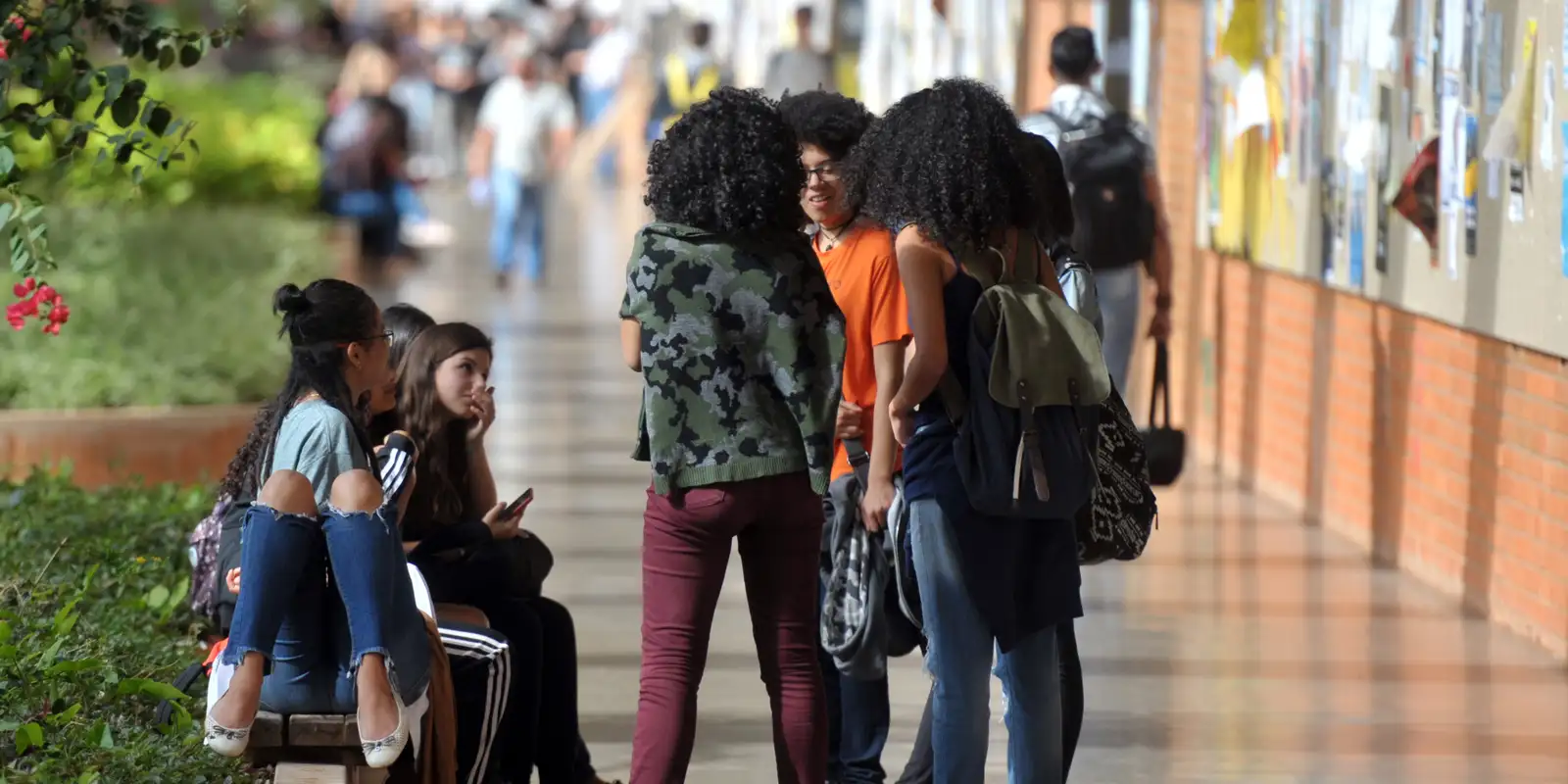 Brasil alcança índice de desenvolvimento humano muito alto pela primeira vez