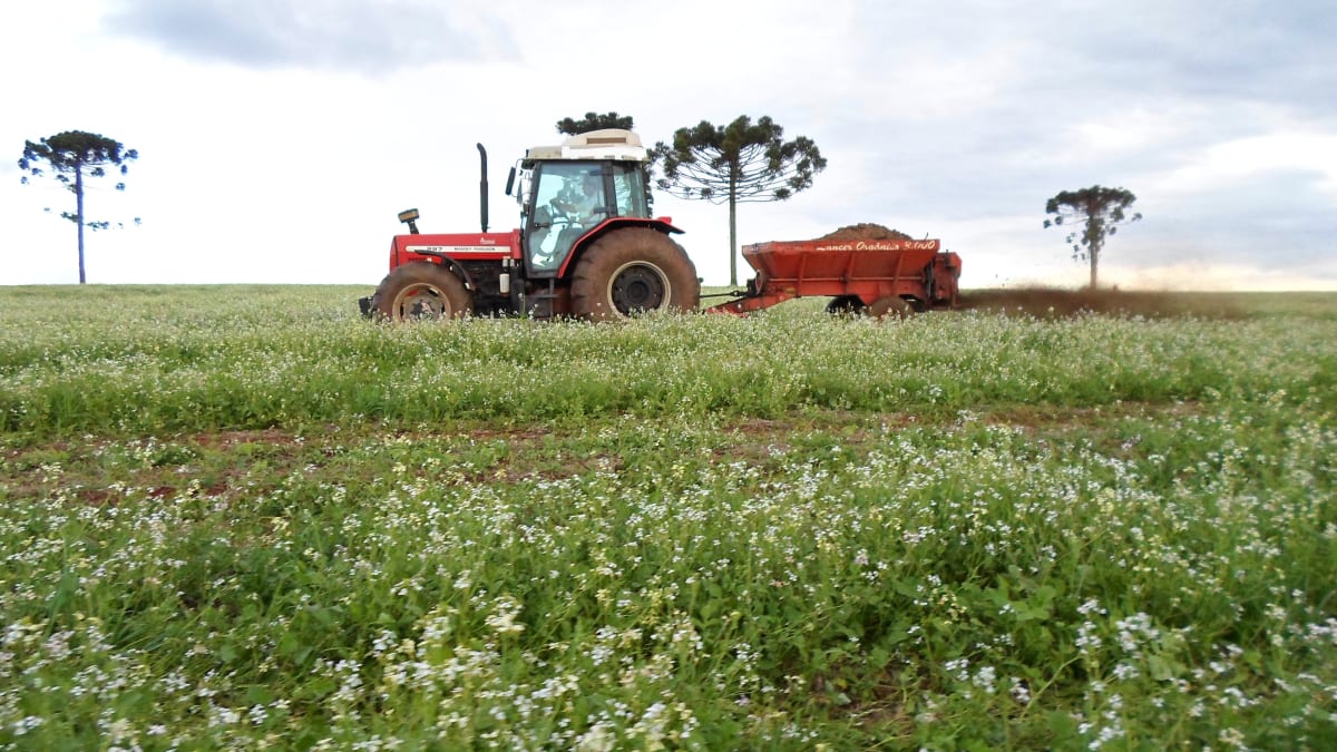 Programa paranaense de destinação agrícola de lodo de esgoto é referência nacional
