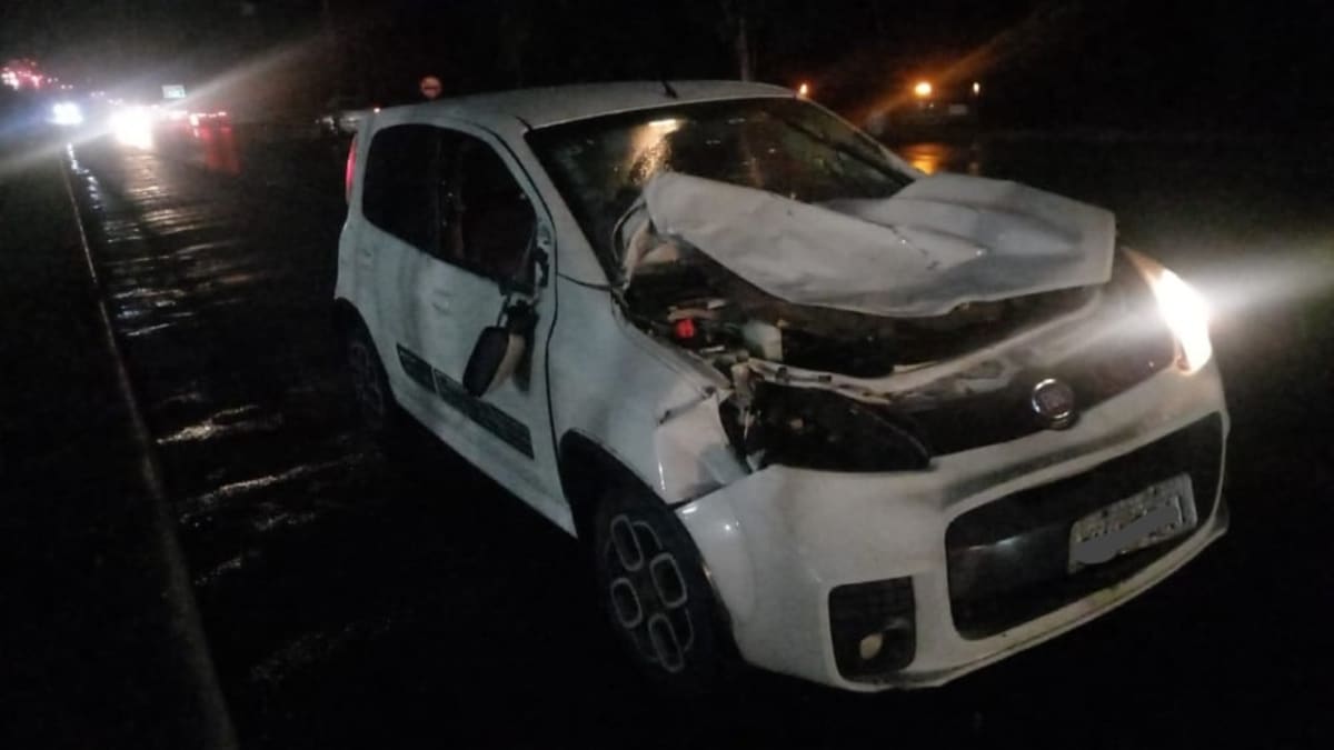 Fiat Uno colide com cavalo solto na rodovia próximo à Brasdiesel e deixa casal ferido