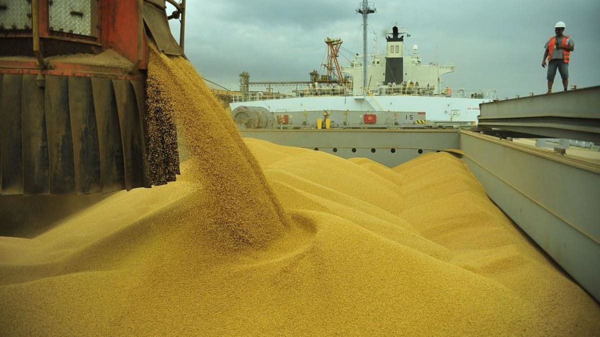 Exportações de soja do Brasil crescem em maio, mas ficam abaixo de abril