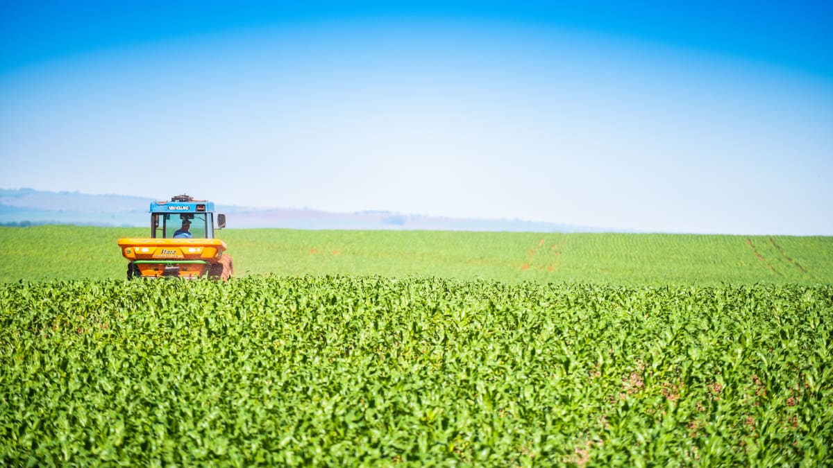 Curso de Produção de Soja destaca manejo do solo e controle de plantas daninhas