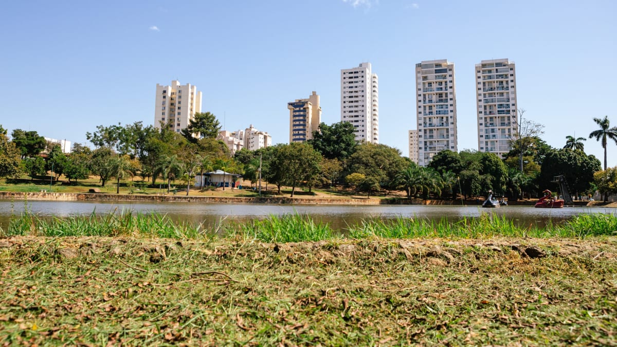 Justiça suspende corte de árvores no Parque Lago das Rosas em Goiânia