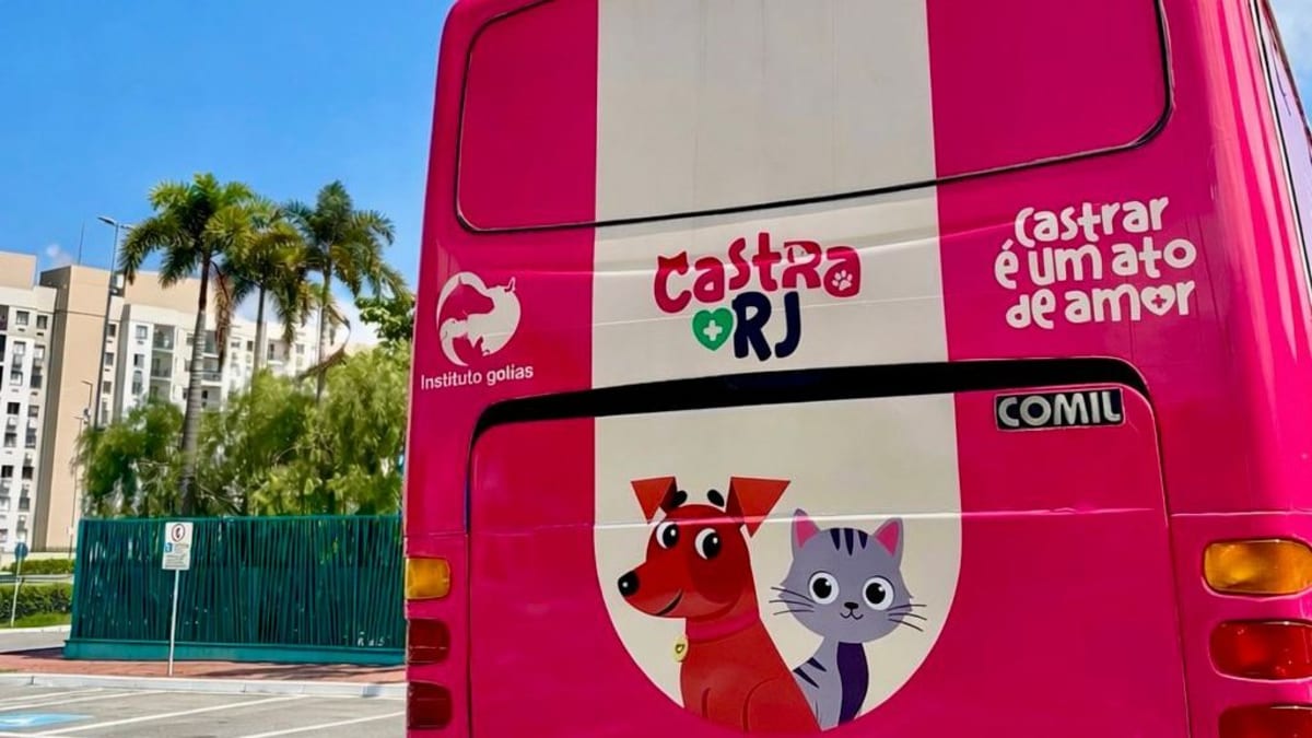Programa Castra Mais RJ oferece castração gratuita em Vila Isabel e Itamarati a partir de 1º de junho