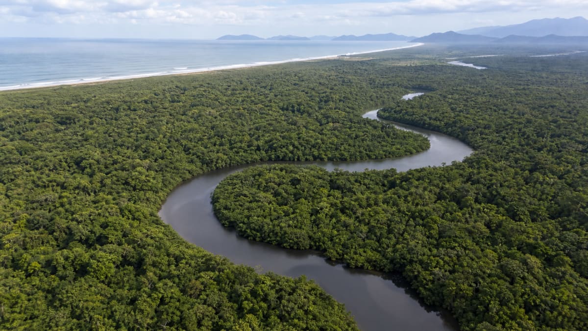 Aliança dos Povos Tradicionais lança iniciativa para proteger a Mata Atlântica