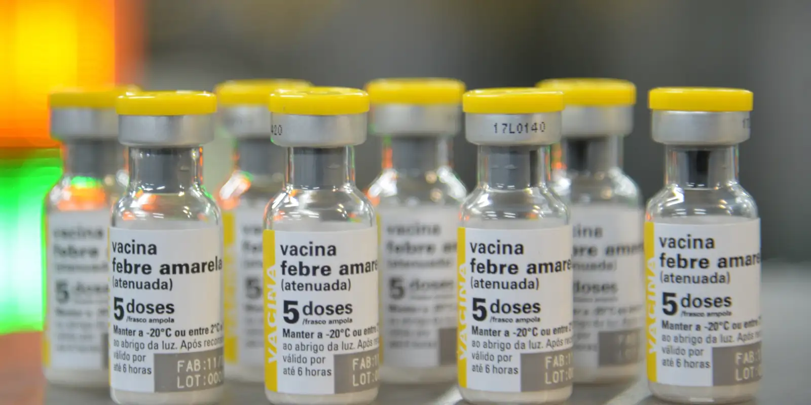 Vacinação reforçada contra febre amarela no Grande ABC