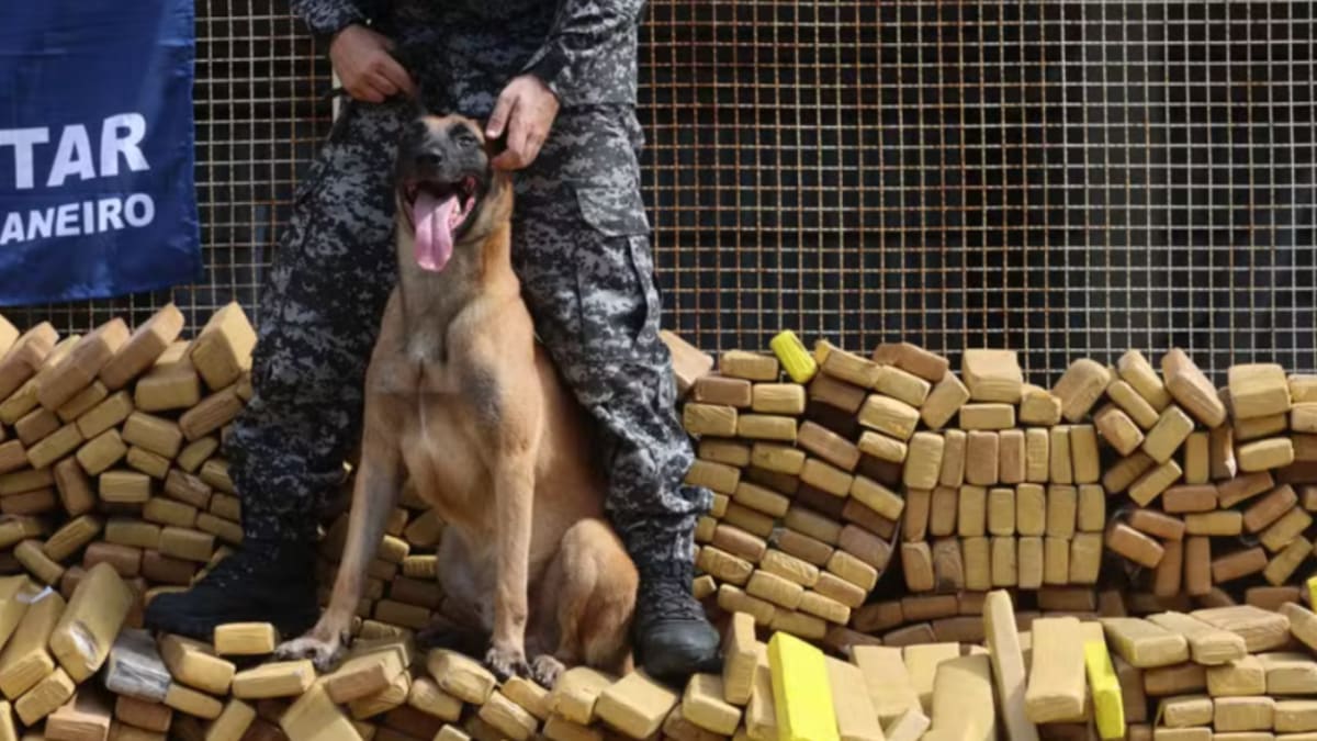 Cachorro Hulk do BAC recebe Medalha Tiradentes da Alerj