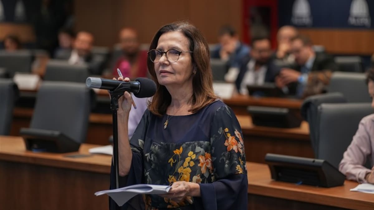 Alerj aprova projeto que obriga plataformas a alertarem sobre violência contra a mulher