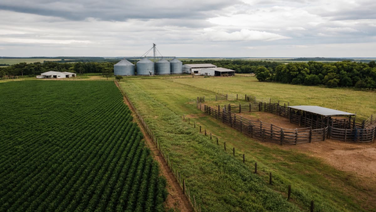 Agropecuária registra saldo negativo de vagas formais em abril