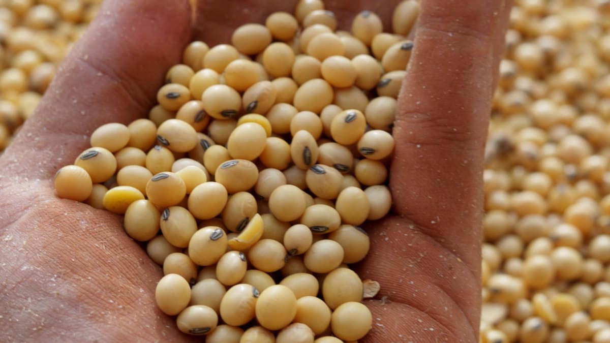 Agronegócio sustenta superávit nas exportações da Bahia em abril