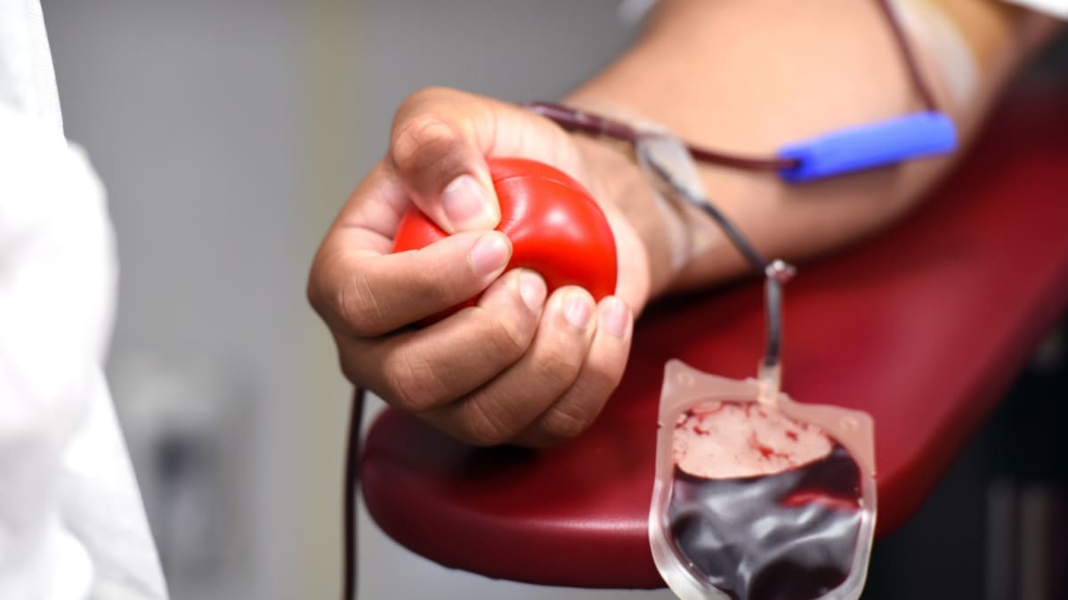 Alerj aprova programa Torcedor Sangue Bom para incentivar doação de sangue entre torcedores