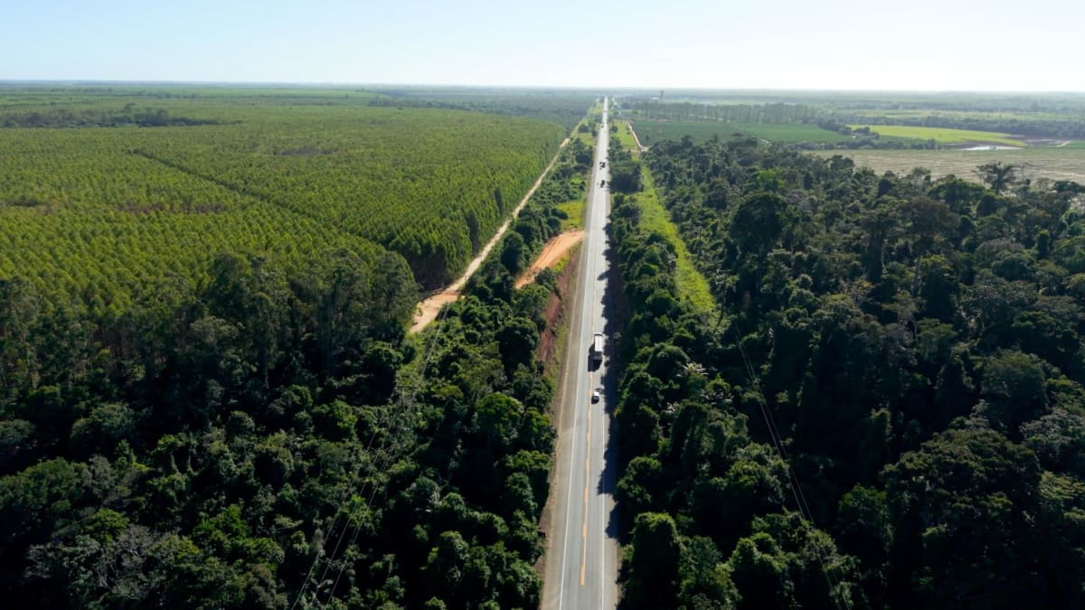 Modernização da BR-101 no Espírito Santo gera 4 mil empregos e impulsiona economia local e nacional