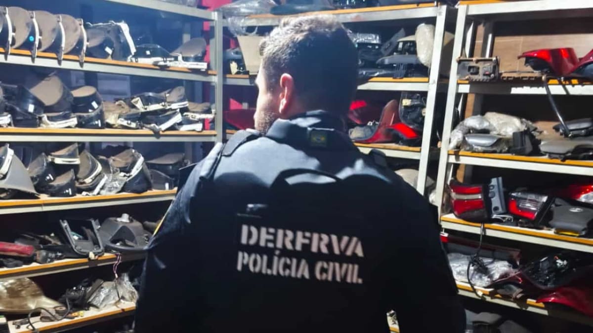 Polícia cumpre 11 mandados em operação contra grupo suspeito de furtos e receptação em Goiás e São Paulo