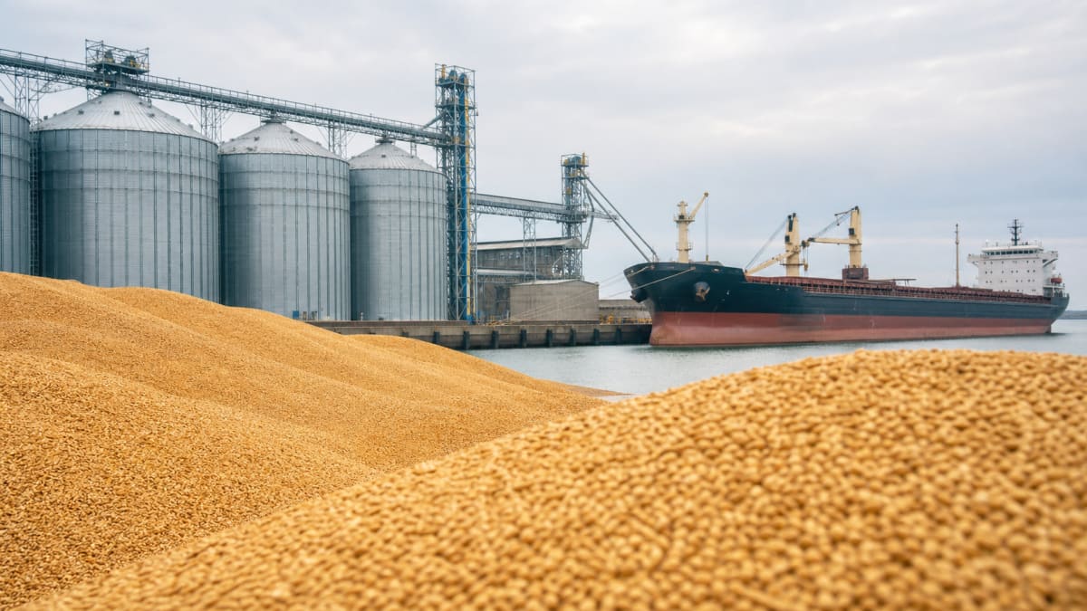 Exportações de trigo dos EUA registram queda líquida na safra 2025/26