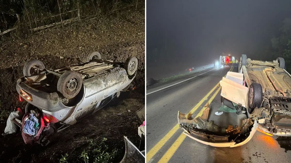 Acidente na BR-280 em Canoinhas envolve dois carros e deixa sete feridos após colisão com cavalo solto