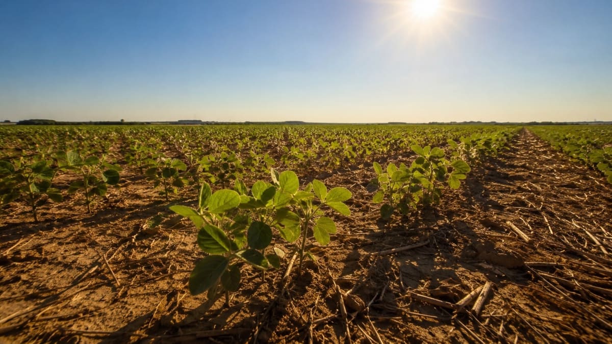 Setor produtivo deve ficar atento ao clima nos próximos meses, alerta meteorologista