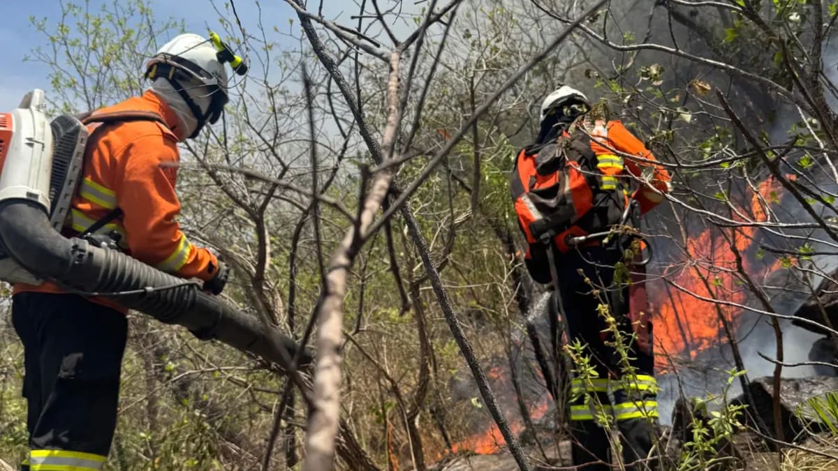 Período seco aumenta risco de queimadas em Goiás