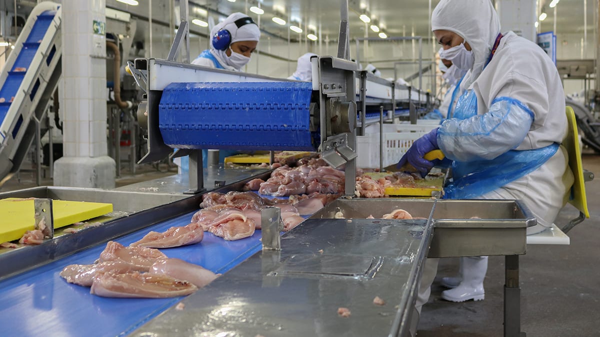 Exportacoes de frango superam us 1 bilhao em maio e batem recorde
