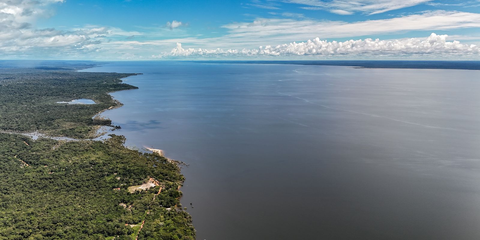 Dia do Meio Ambiente reforça importância de ações sustentáveis no país