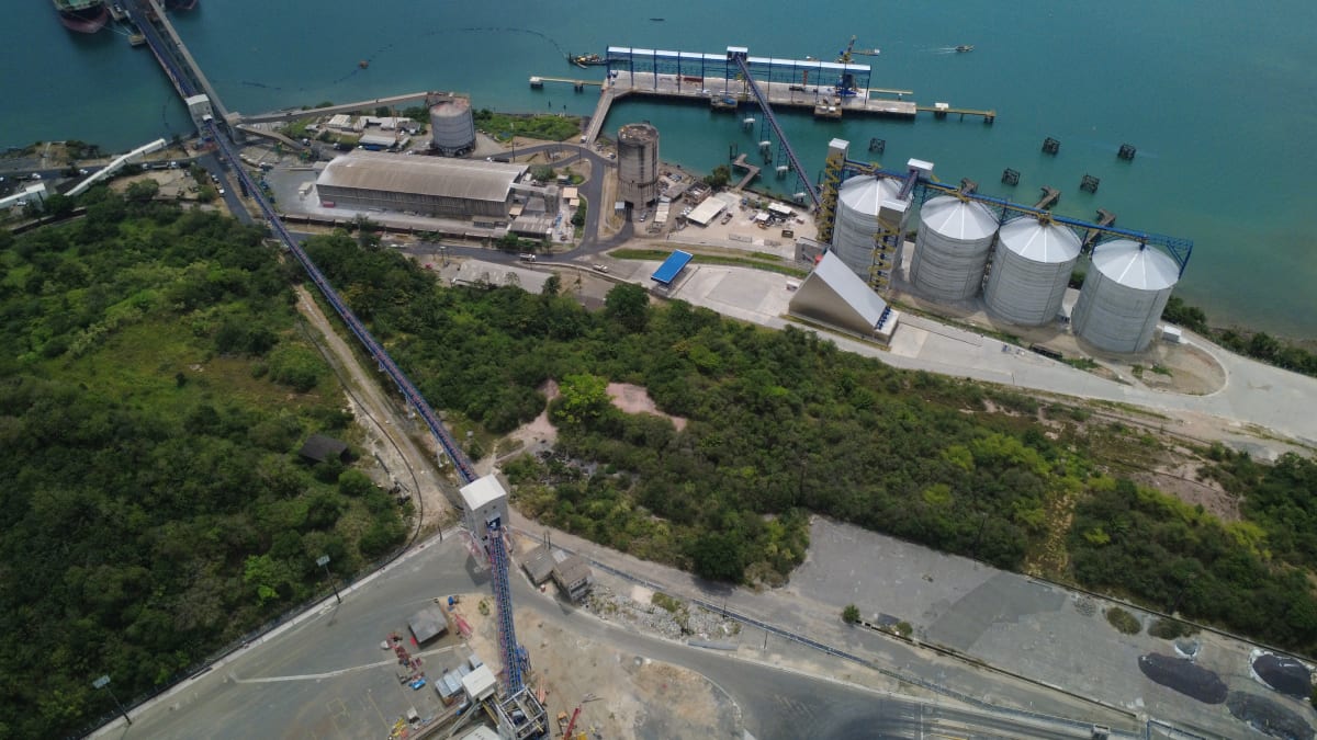 Fertilizantes e responsabilidade ambiental: uma conexão estratégica para o agro brasileiro