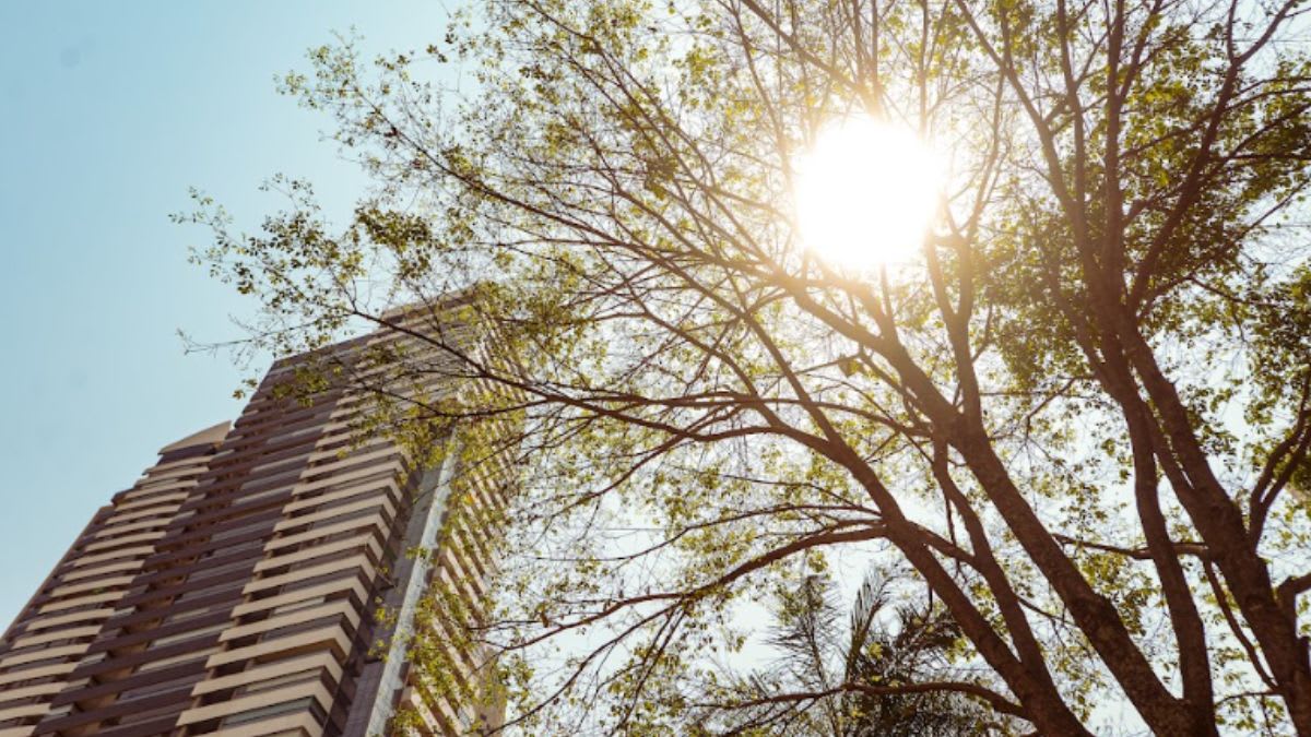 Goiás monitora avanço do El Niño diante de risco de seca, calor e queimadas