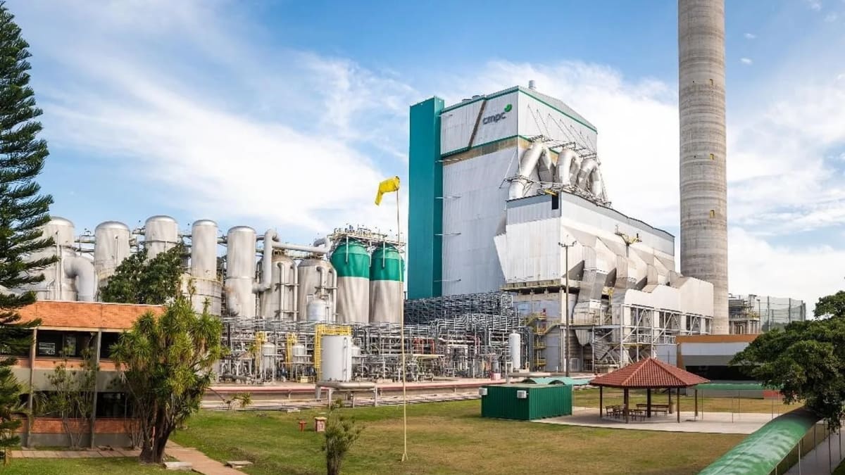 Gigante da celulose pode tirar R$ 27 bi em investimentos do Brasil