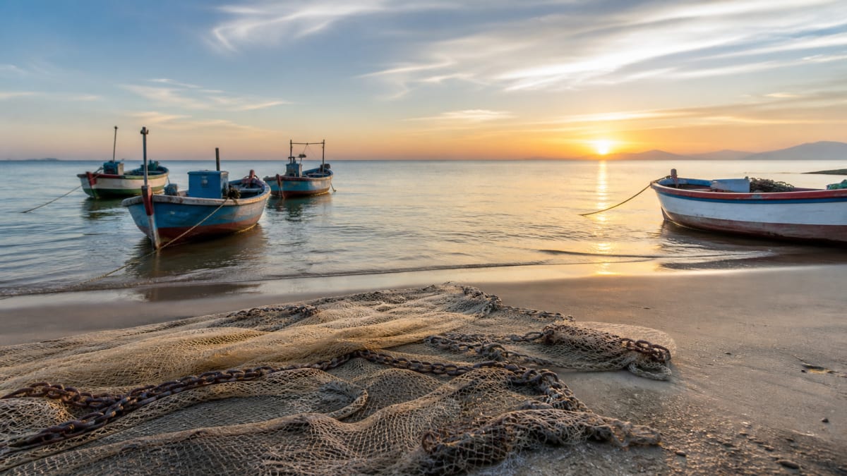 Pesca de tainha por arrasto de praia e suspensa apos limite da cota ser atingido