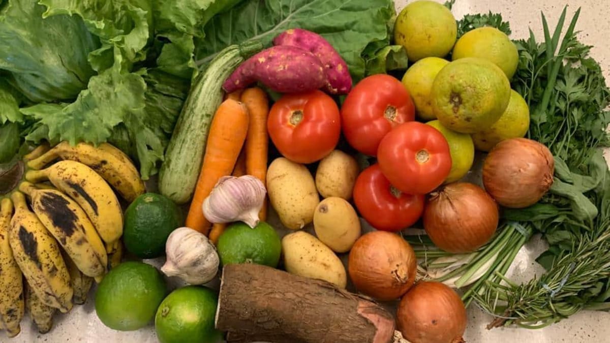 Governo do Rio prevê economia de até 20% nos custos da Secretaria de Agricultura