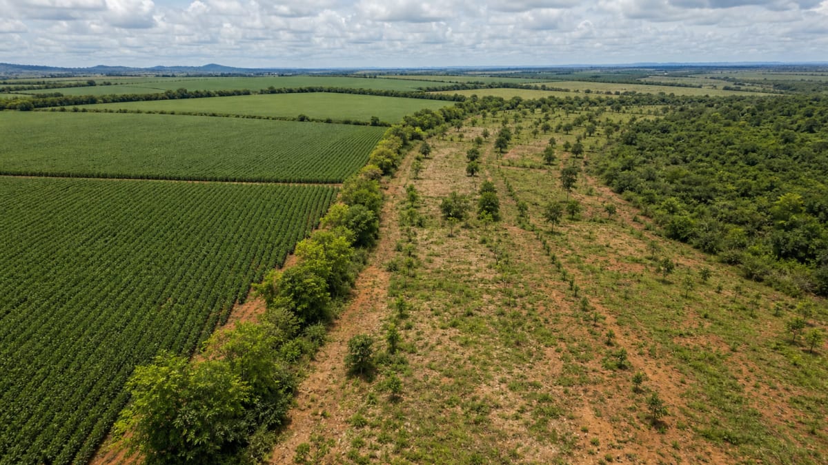 Mapa apresenta programa de restauracao e credito em forum climatico no rio