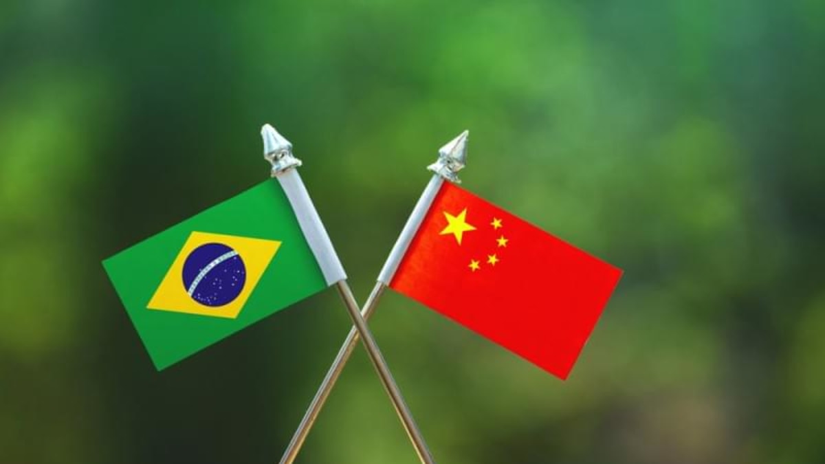 Mandarim poderá integrar grade curricular da rede pública estadual do Rio
