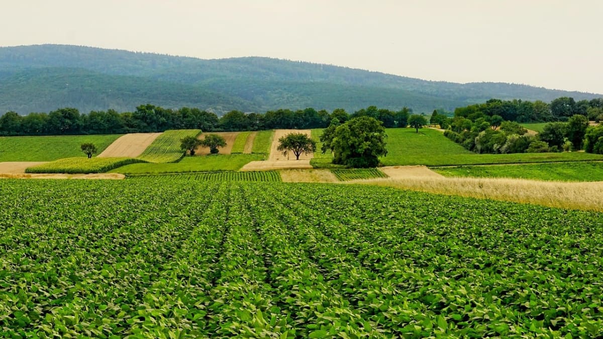 sistema faep pede reversao de corte de R$ 4617 mi no seguro rural para 2026