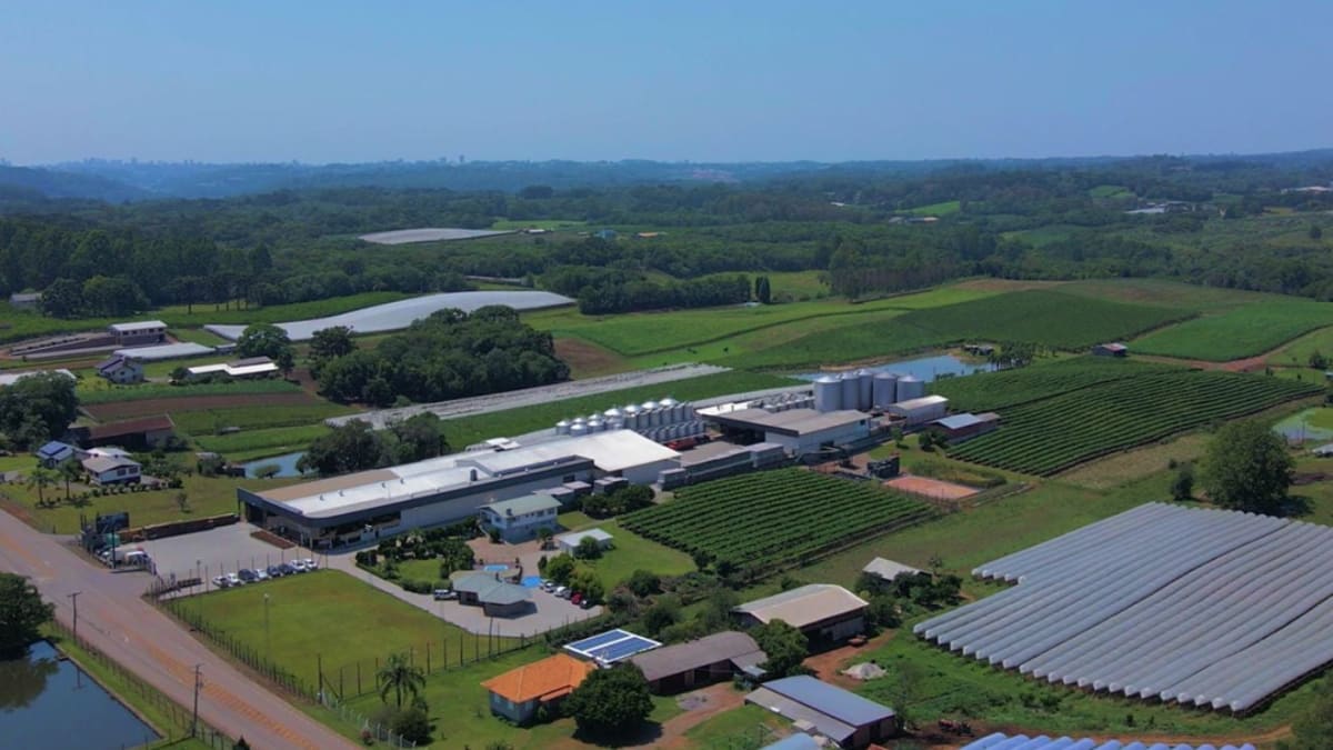 Vinicola gaucha amplia parcerias europa reforca atuacao mercado brasileiro vinhos