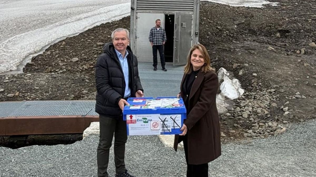 Embrapa entrega mais sementes brasileiras para cofre do fim do mundo na noruega