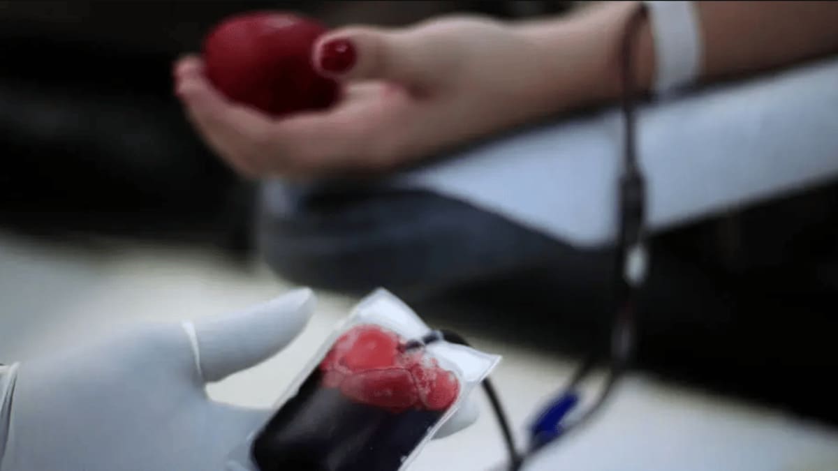 Mitos sobre doação de sangue afastam pessoas que poderiam salvar vidas
