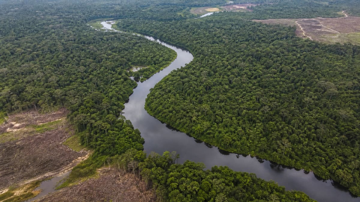 reino unido conclui aporte de R$ 500 milhões ao fundo amazonia