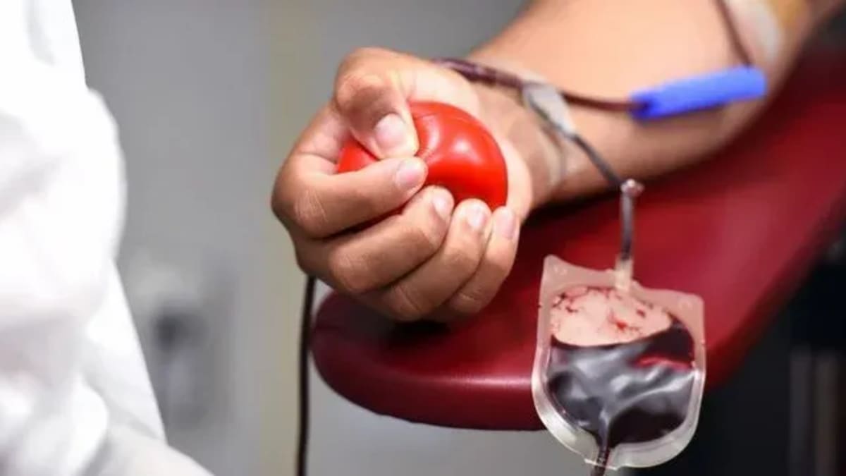 Junho Vermelho: fake news e medo ainda afastam doadores de sangue, alerta especialista