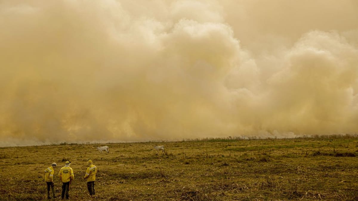 Inverno seco eleva risco de incendios e exige prevencao no campo