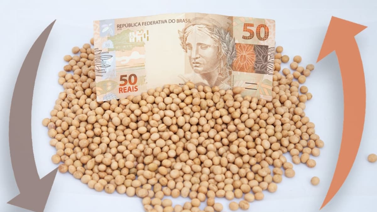 Precos da soja no Brasil e na bolsa de chicago veja como o mercado iniciou a semana
