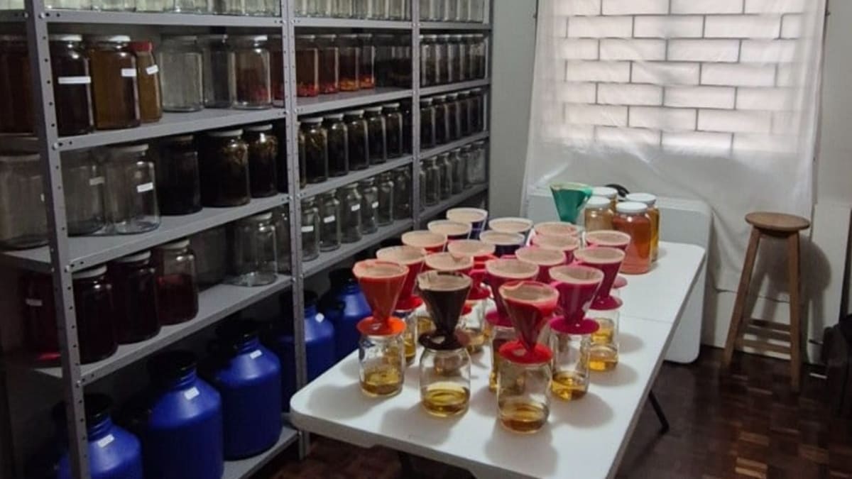 Operacao apreende mais de 700 bebidas clandestinas produzidas de forma irregular