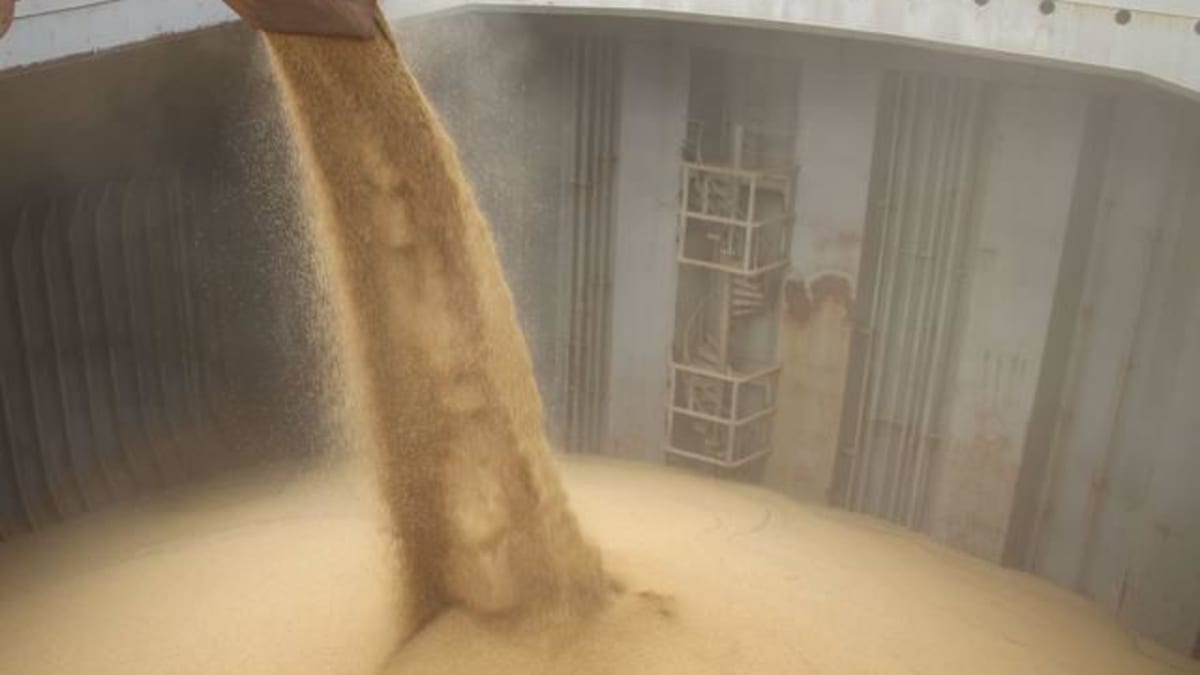 Exportacoes de soja no Brasil devem alcancar quase 16 milhões de toneladas em junho